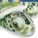 Intex 57555 черепаха (191 х 170 см.) Надувной плотик с ручками